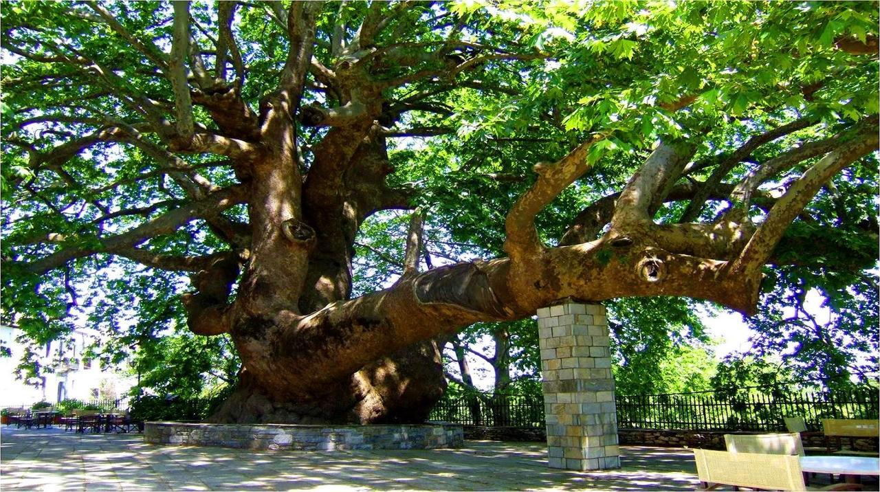Pileas & Thetis Villa 차가라다 외부 사진