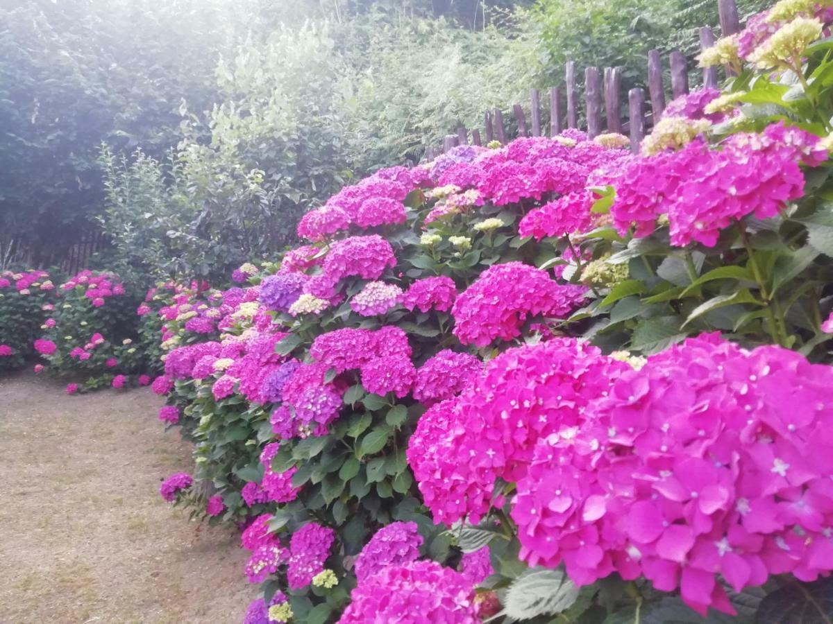 Pileas & Thetis Villa 차가라다 외부 사진